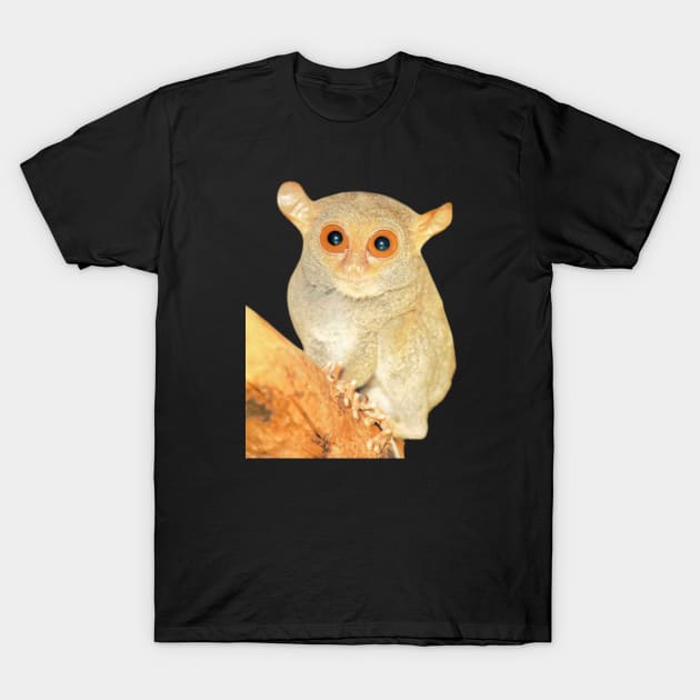 Tarsier animal T-Shirt by Yriah 